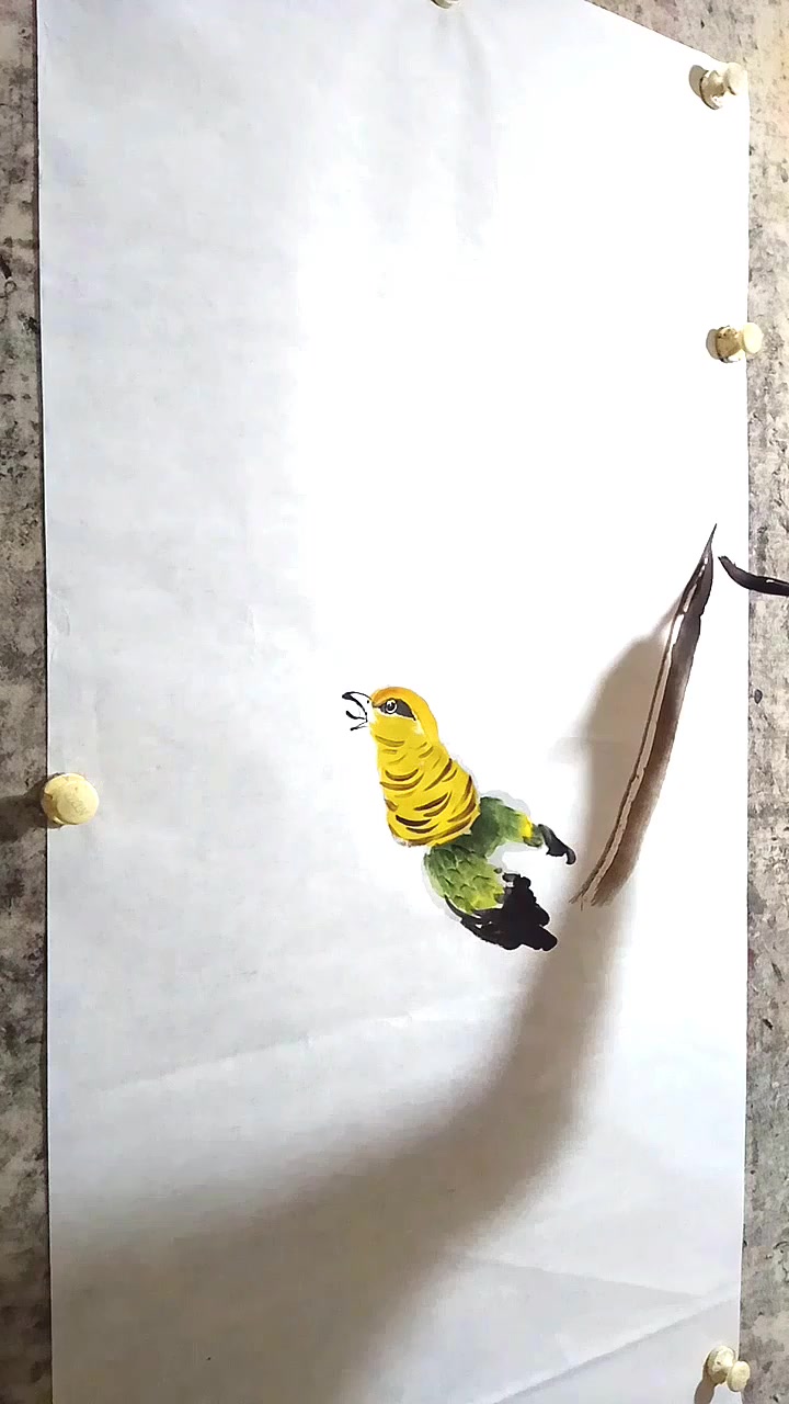 写意国画,锦鸡画法颜色鲜艳华丽系列之一