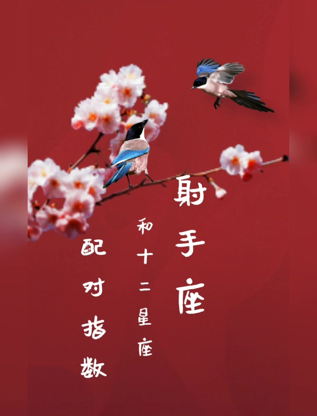 射手座和十二星座配对指数
