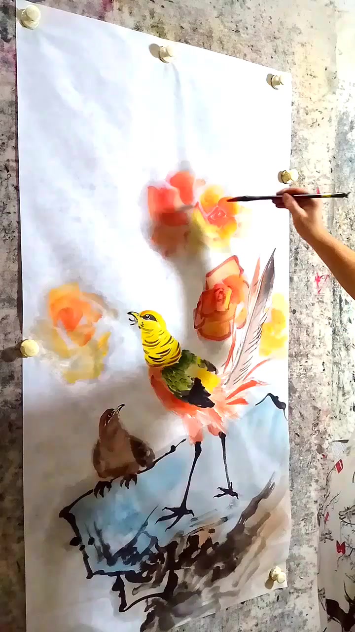 写意国画,锦鸡画法锦上添花系列三