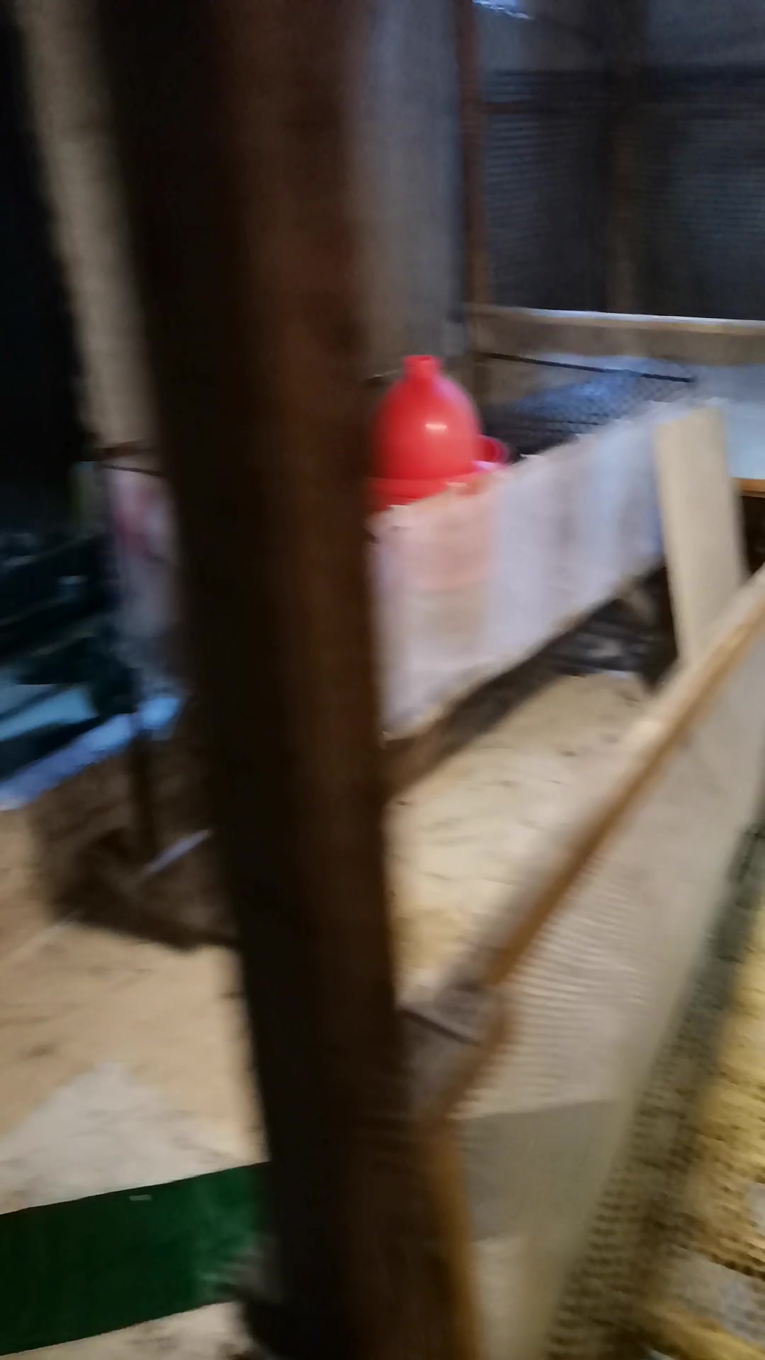 小徐养殖今天晚上试温度