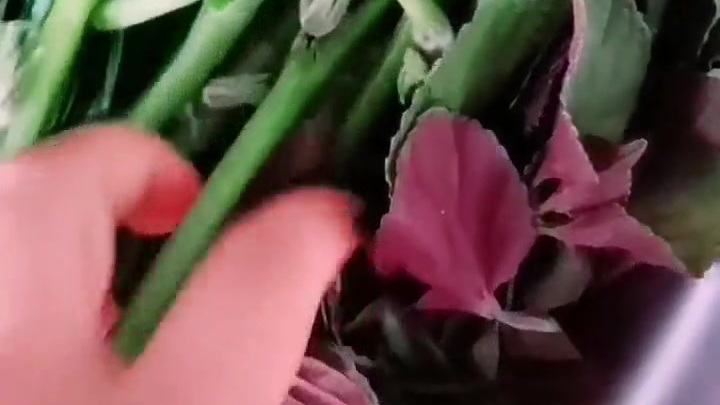 今天七夕节,你那里有什么风俗?  我这里会吃一碗菜,有7种青菜组合的大杂烩,味道也很不错。