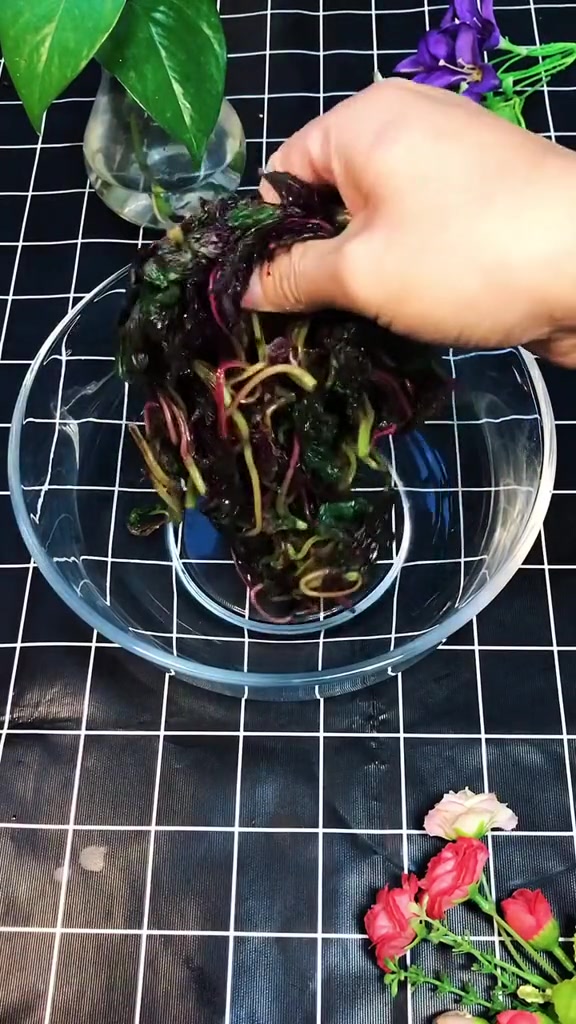 想减肥吃苋菜,营养更健康