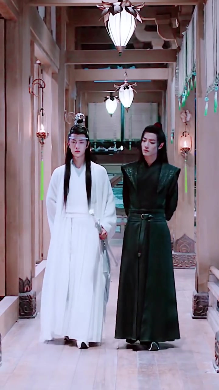 魏无羡蓝忘机背影合集