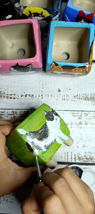 丙烯画手绘多肉花盆:肉丸子系列