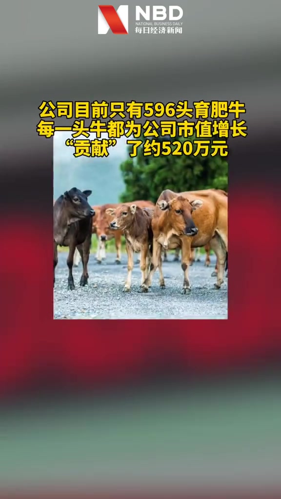 史上最贵“牛肉”!这家公司只有596头牛,每头牛“贡献”520 万!