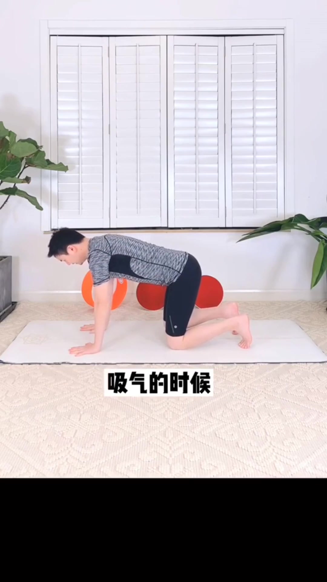 万能瑜伽体式猫式 改善脊柱柔韧性缓解肩颈腰僵硬#星知计划#