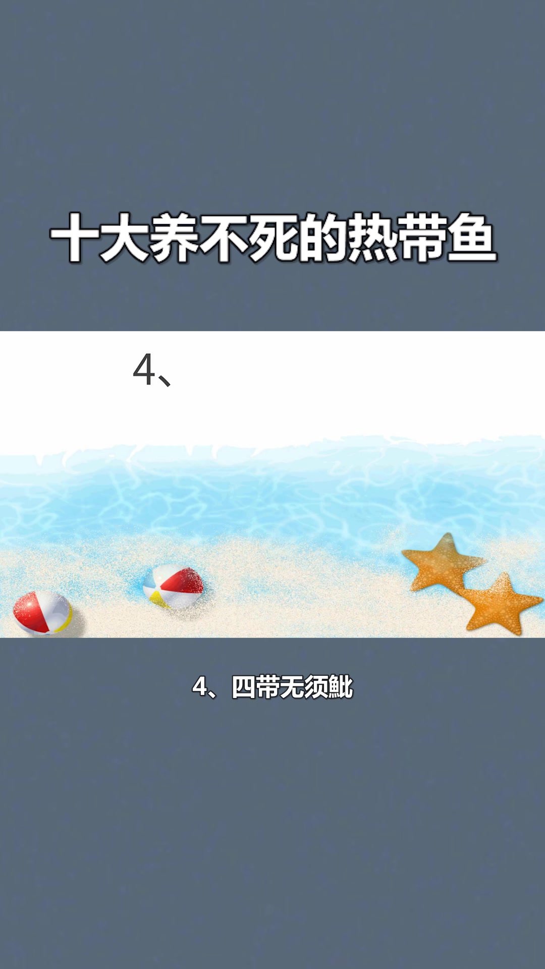 十大养不死的热带鱼#星知计划#