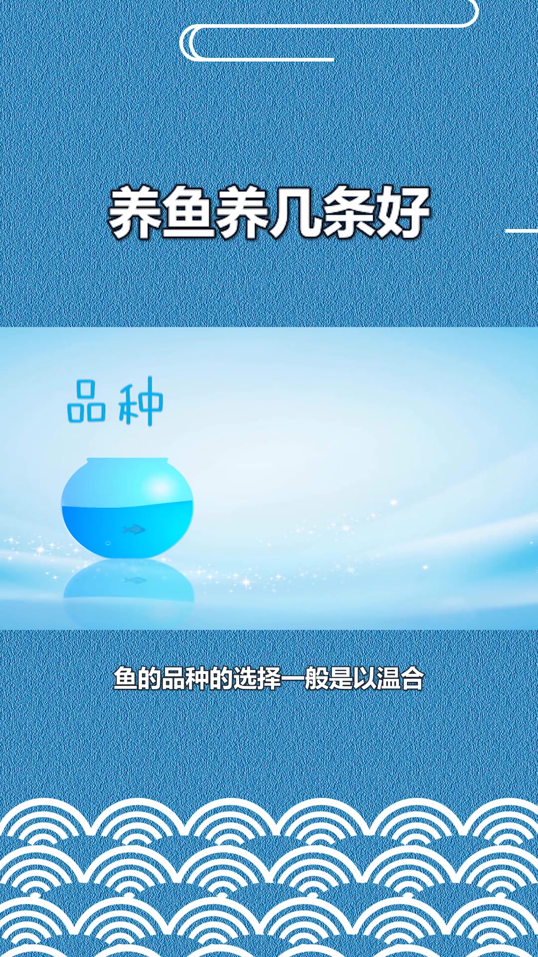 养鱼养几条好#星知计划#