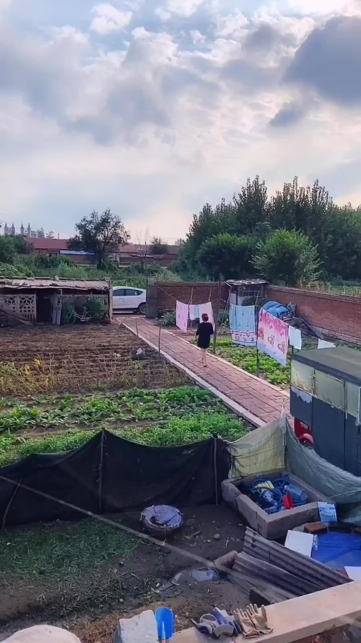 东北女人用花鲢鱼炖粉条,掀开锅盖的那一刻,我有被诱惑到