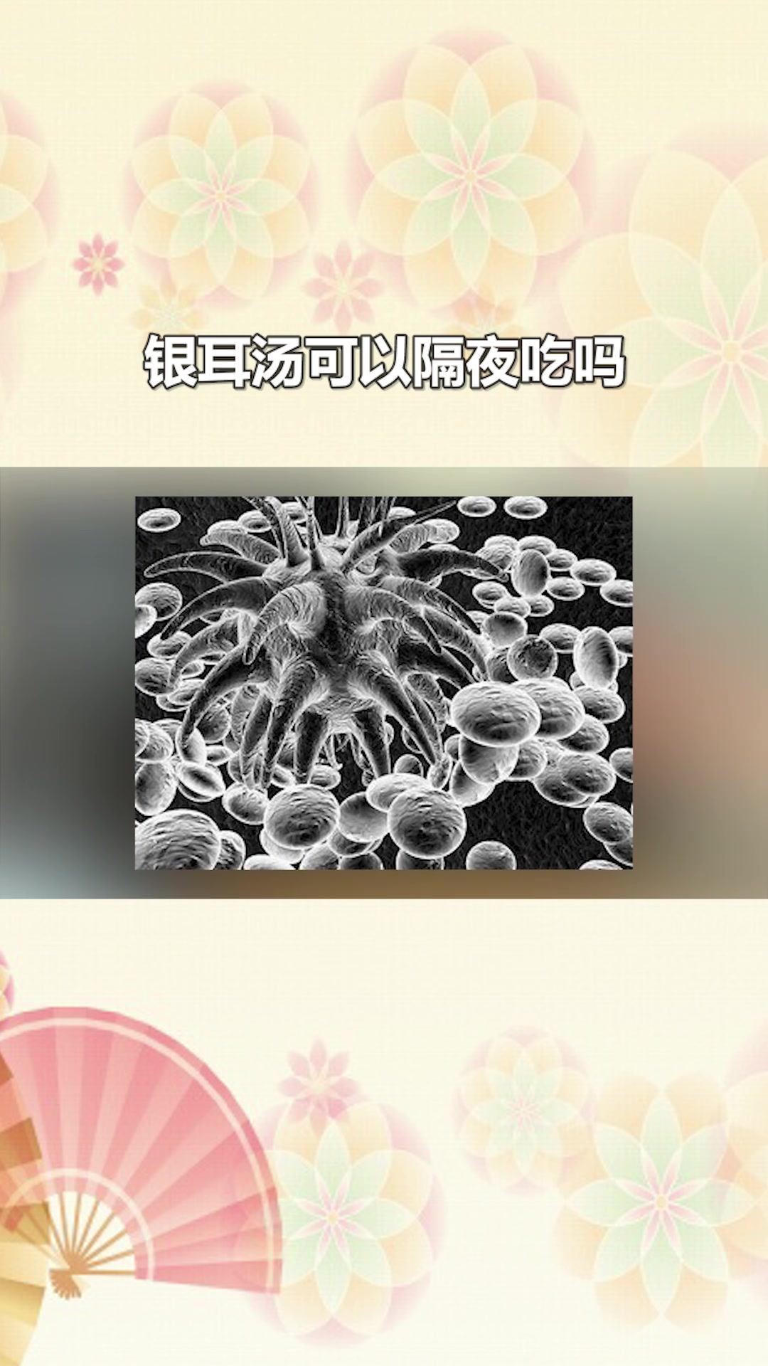 银耳汤可以隔夜吃吗#星知计划#