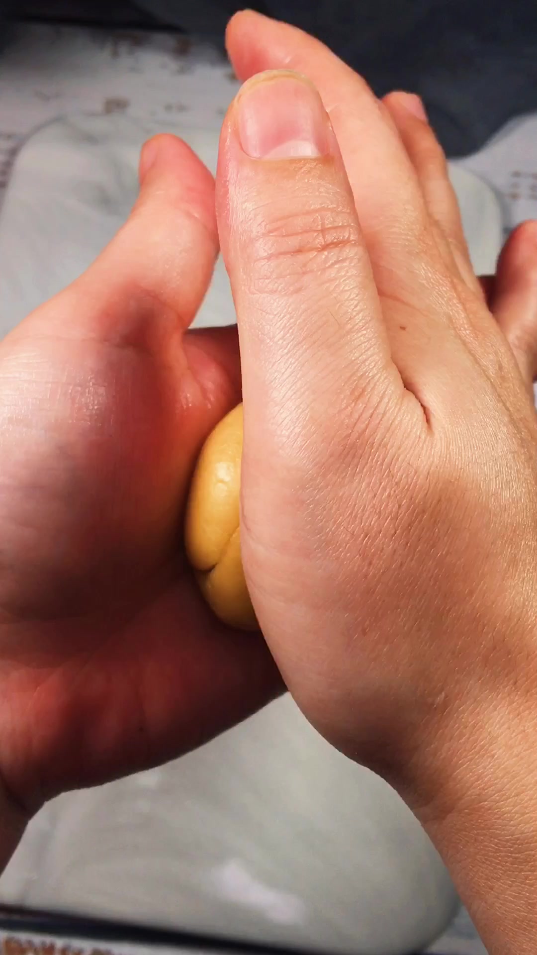 月饼第三集蔓越莓椰蓉馅