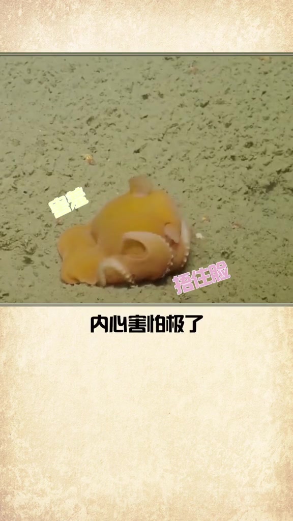 这才是猛男该看的东西