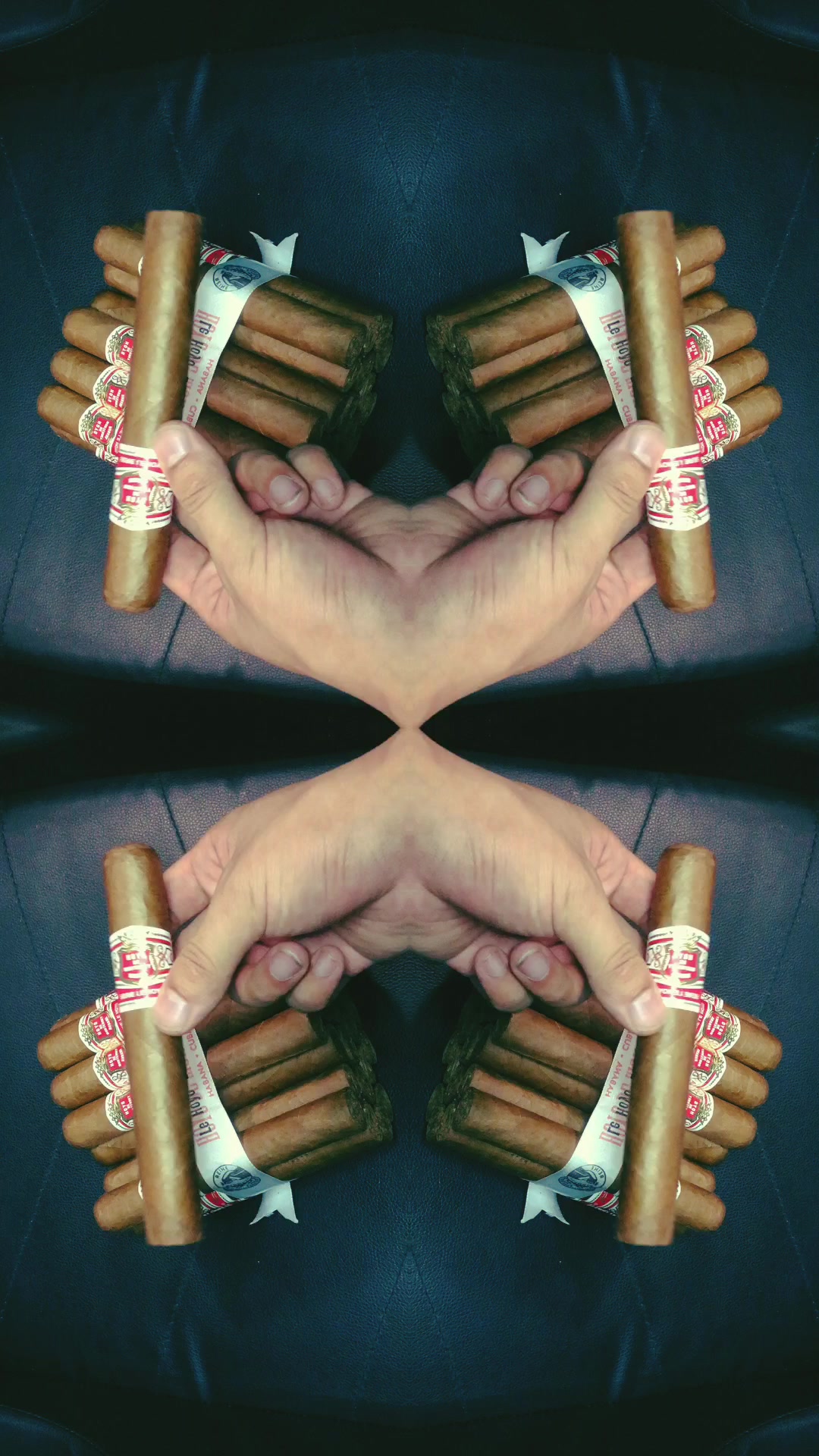 口感醇厚的好友,配上一杯经典佳美娜葡萄酒,享受宁静的午后时光