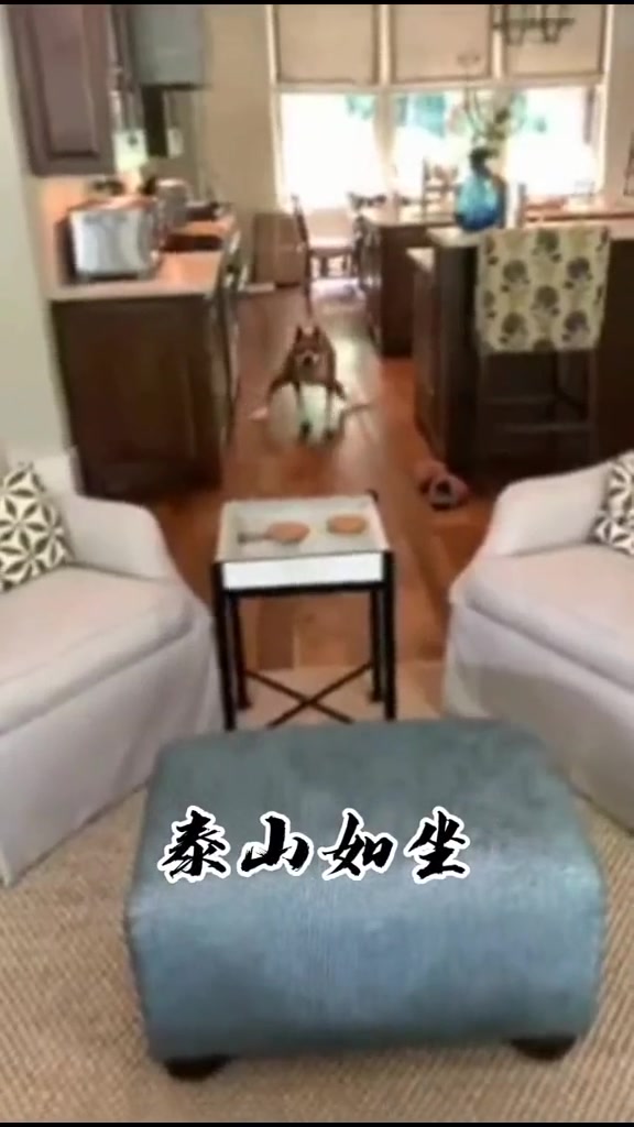 你们喜欢五岳,还是四神兽