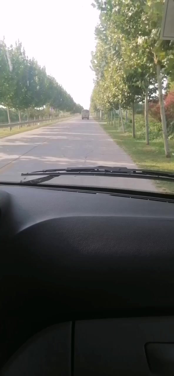 2000多只鸭苗从湖北回四川