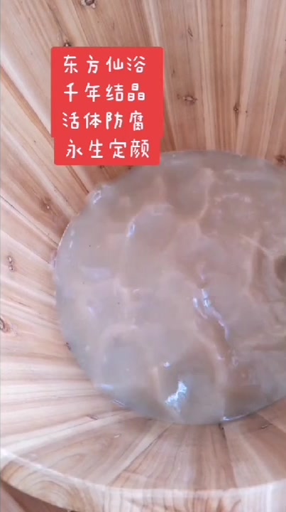 西游记续集全剧在线观看,鸡毛飞上天电视剧全剧在这观看殷桃