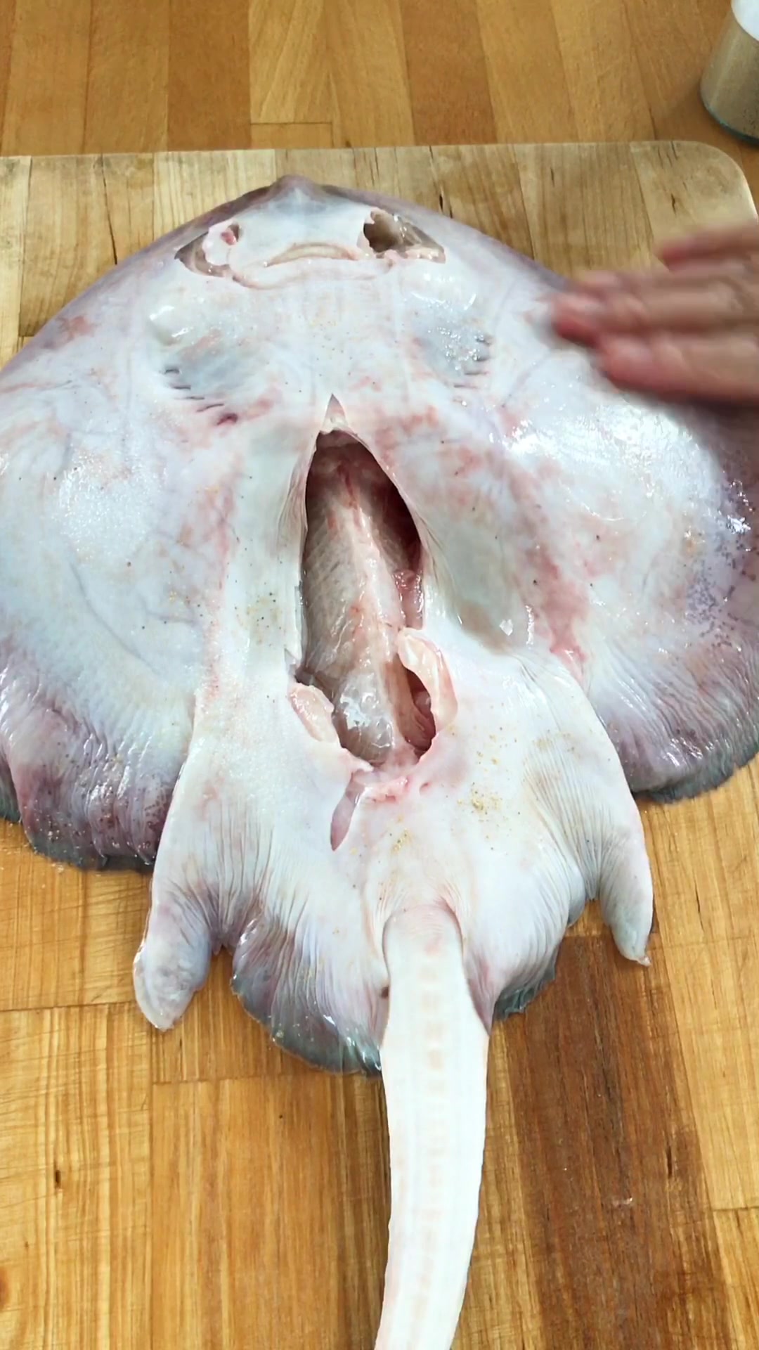 这鱼第一次见,清蒸最好吃,注意这几点,洁白细嫩鲜掉了眉