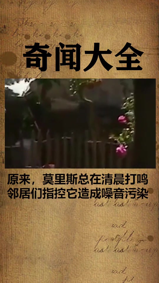 公鸡,以后都不敢随便打鸣了,不然分分钟上法庭