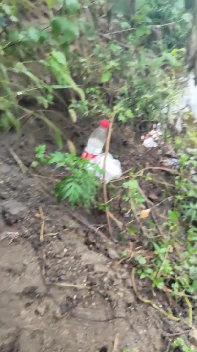 可视探鱼器,可视钓鱼器,水下直播钓鱼摄像头用什么设备?