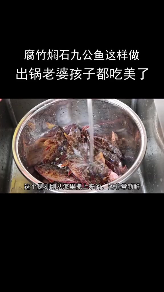 它可能是小海鱼中最美味的石九公