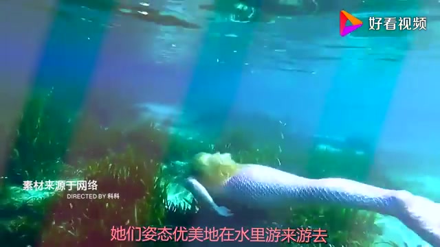 国外水族馆养了条“美人鱼”,跳下水的那一刻,网友:惊艳了!