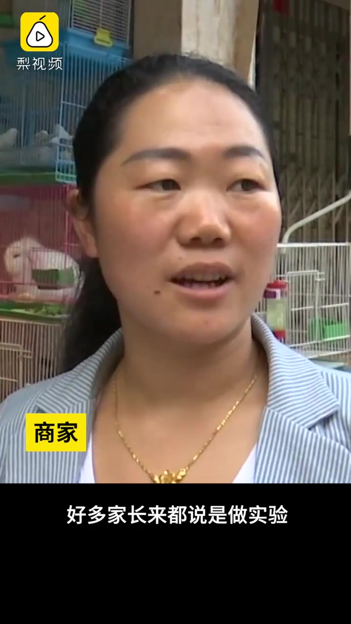 全城通缉!昆明9万学生在找“米汤虫”,花鸟店已捕捉到商机