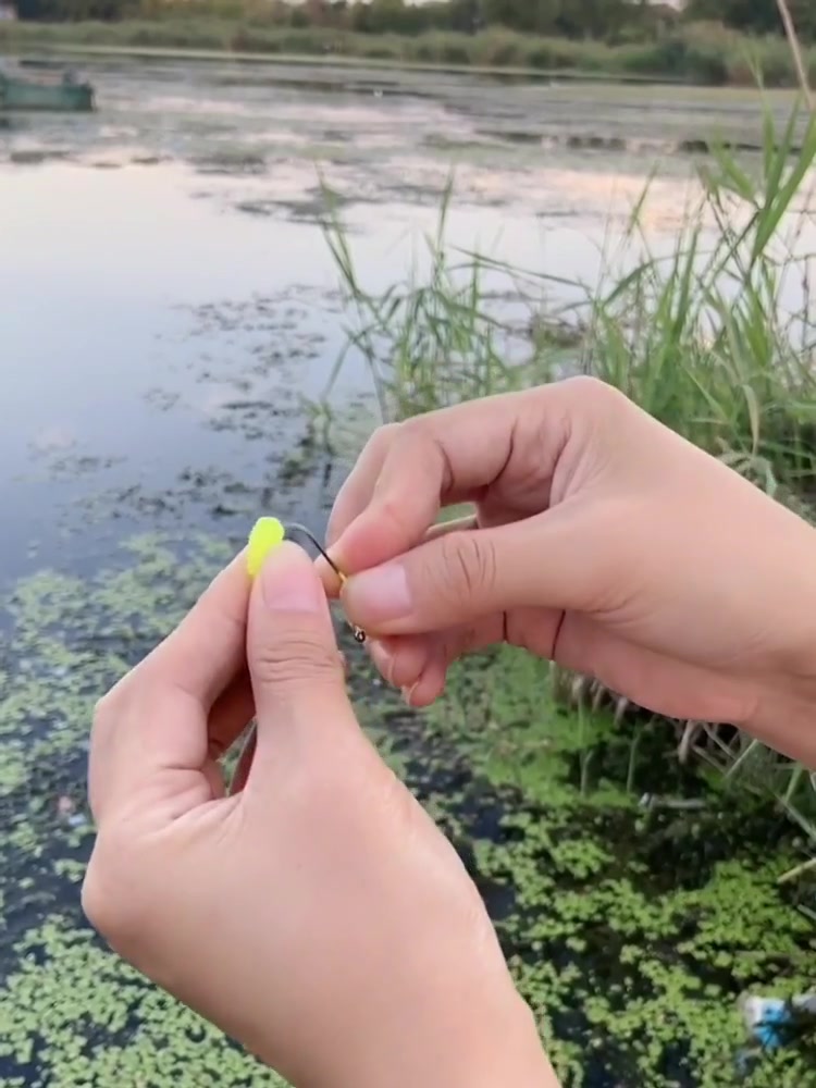 钓鱼技巧:面包虫的两种挂法