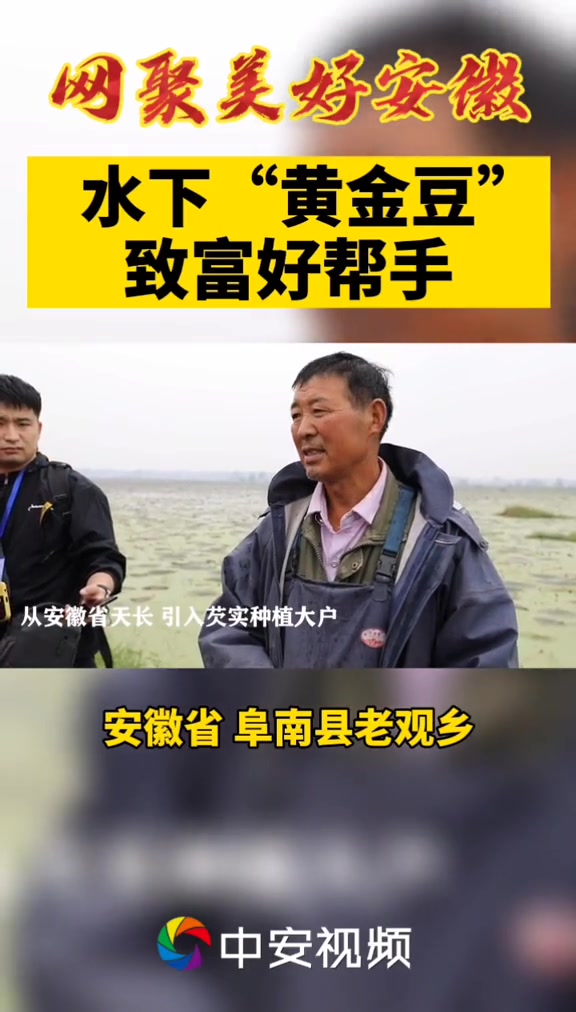 水下“黄金豆”致富好帮手