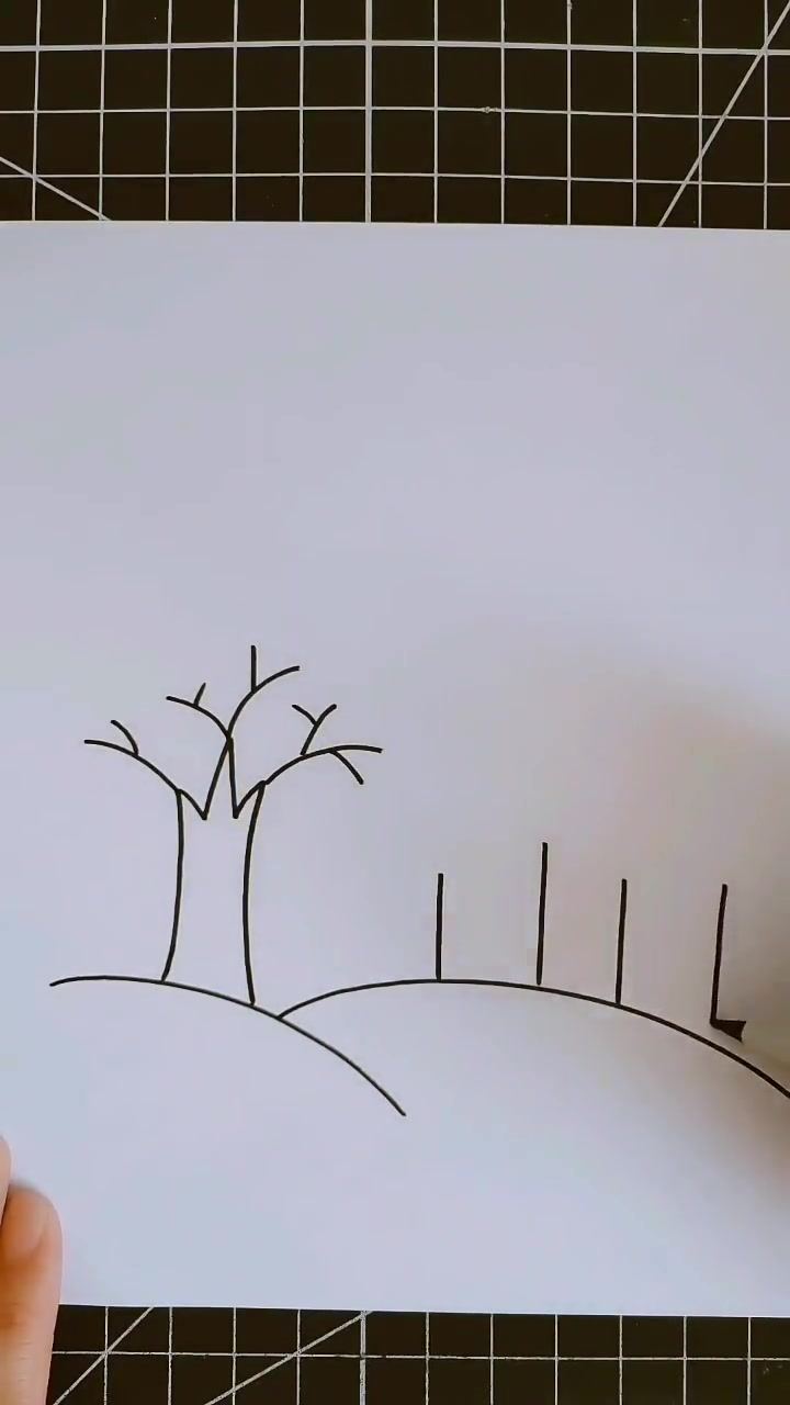 适合秋天的简笔画,涂上颜色真是太美了,做手抄报必备