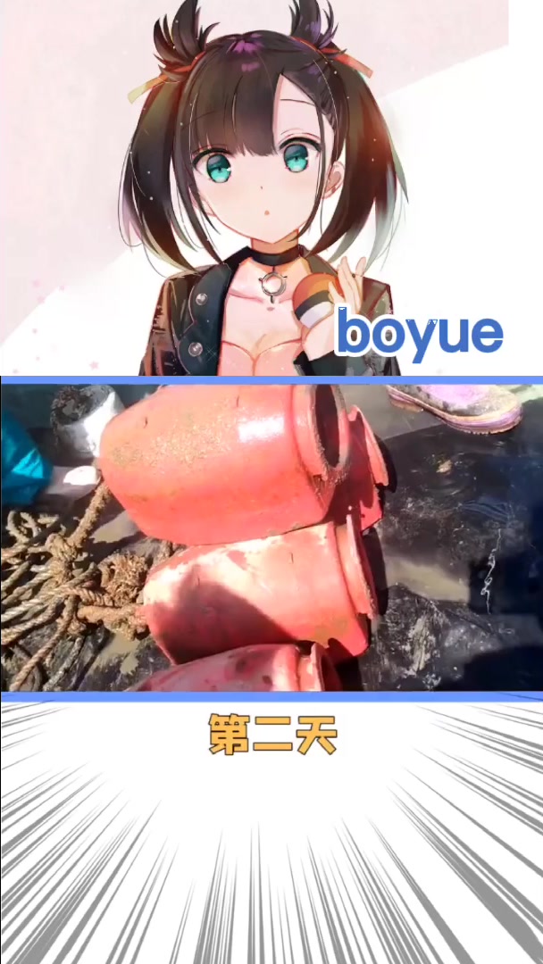 宝可梦怪谈,一只鱼进化成章鱼的故事