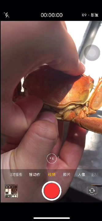 用原相机拍的刚蒸好的螃蟹不加滤镜,蟹黄爆出来的那种。