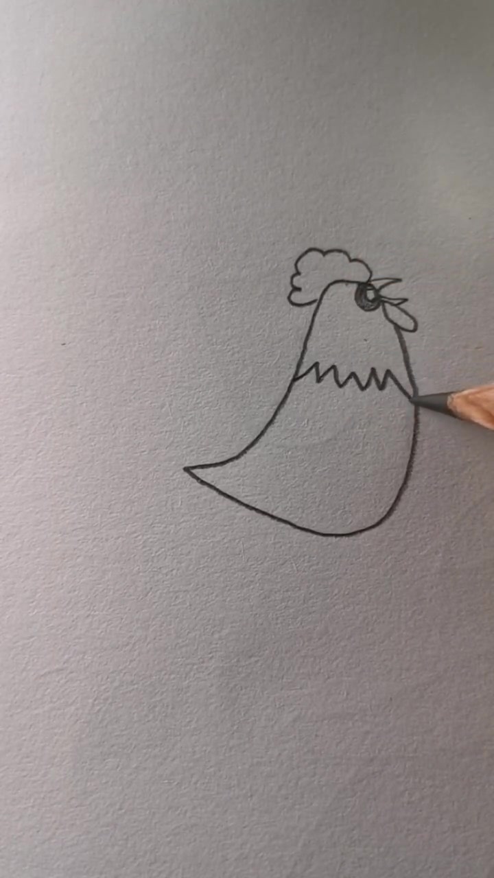 简笔画:一只大公鸡