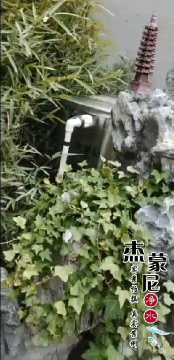 庭院鱼池,使用鱼池过滤器,三天净化水质,您安心养鱼,净水有我