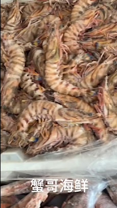 大小规格的野生竹节虾,不是基围虾哟