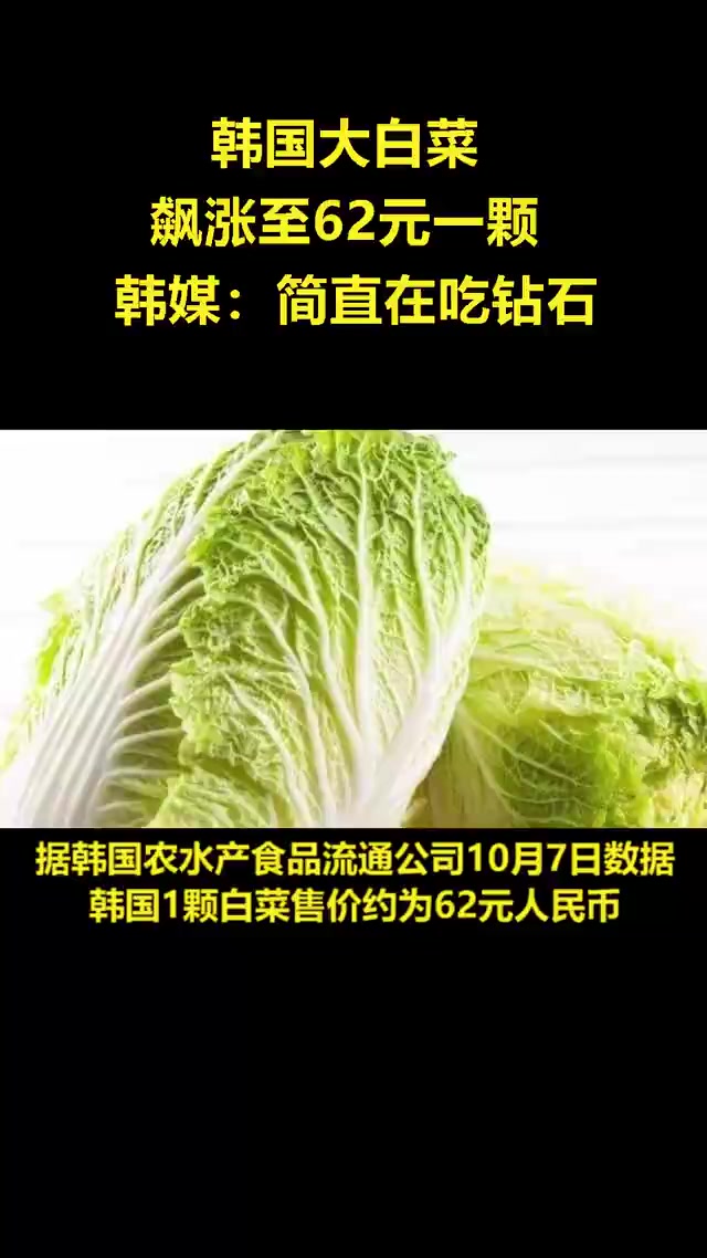 韩国大白菜飙涨至62元一颗,韩媒:简直在吃钻石!
