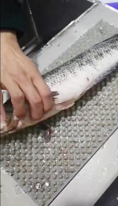 自动去鱼鳞机,客户自己带鱼过来试机