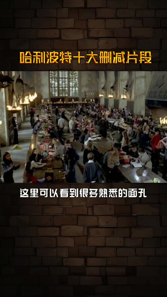 导演:我的电影我做主,哈利波特