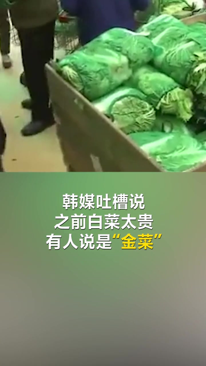 韩国大白菜涨价至62元一棵!韩媒:简直是吃钻石
