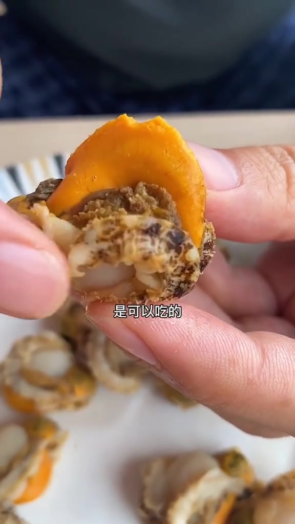 扇贝肉你会吃么到底哪里不能吃呢，来一起研究研究