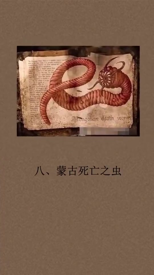 世界十大神秘生物,有一种中国人都知道