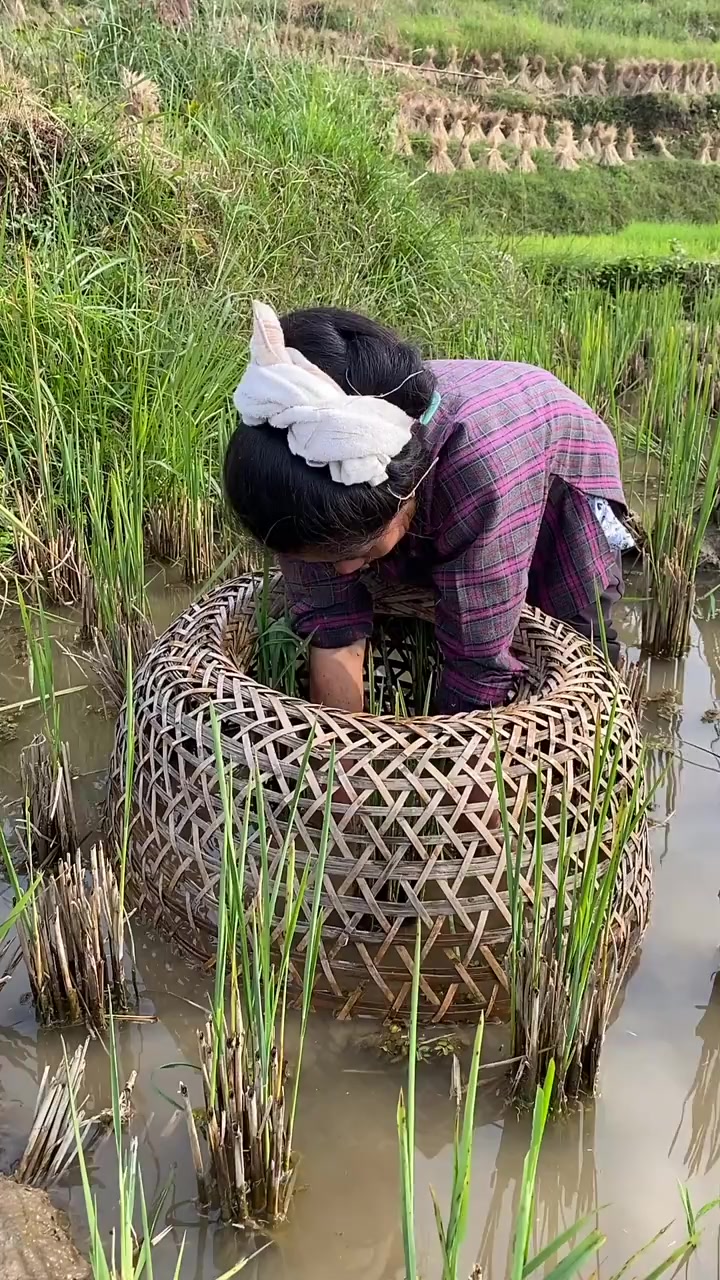 南方大妈用油煎稻花鱼,两面金黄的那一瞬间,是我想吃的菜