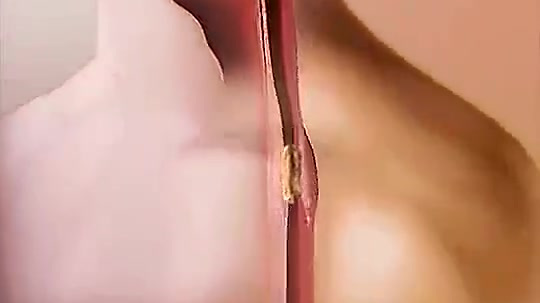 一个视频告诉你食物从口腔进入人体后,消化系统的完整工作流程。