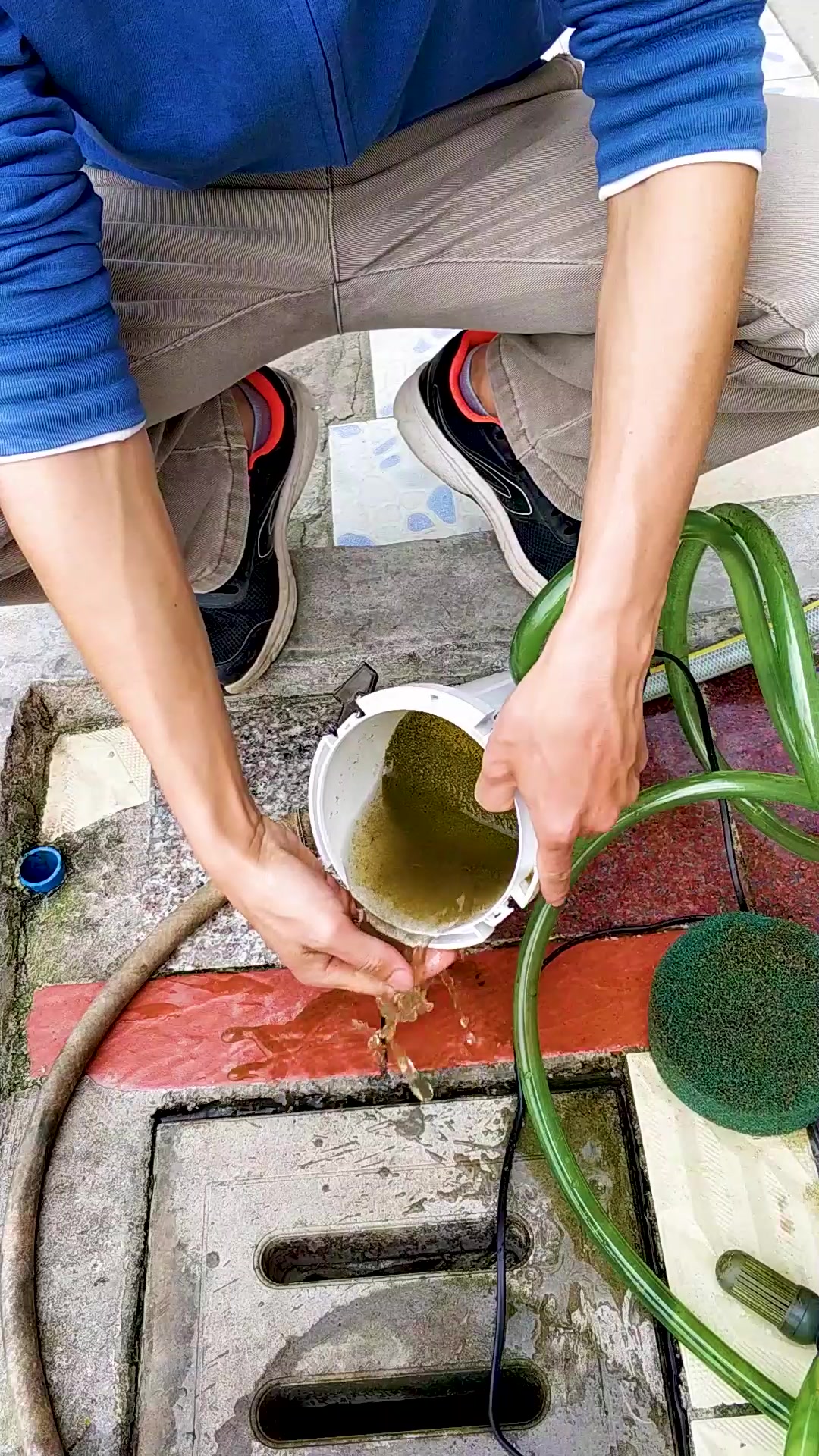 原生缸日常(下)发色的虾虎和日常清洁