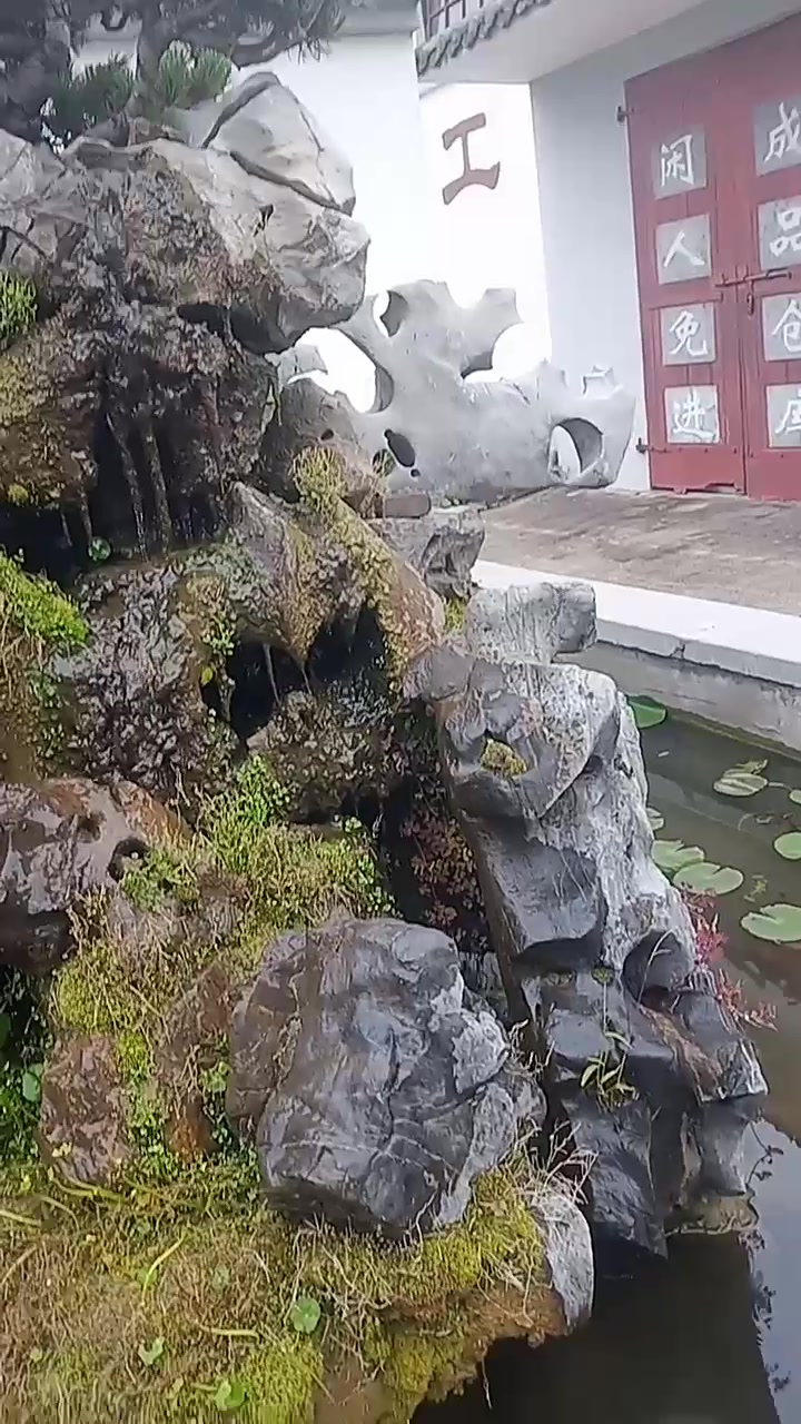 快乐的小鱼水中游