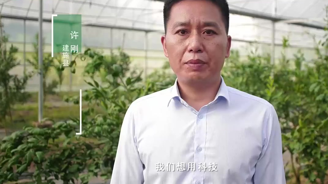 【华中农业大学:建成小康 始于足下】湖北省建始县有着得天独厚的资源,这里是猕猴桃的原产地之