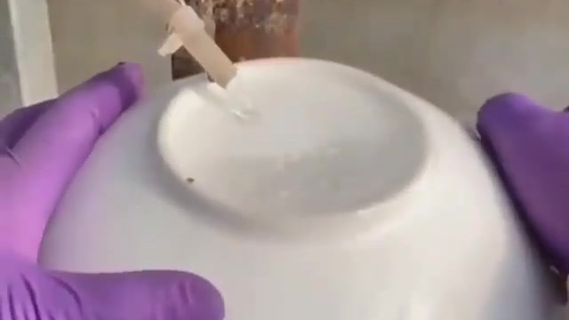 #科普小知识#多肉植物盆景制作小攻略,一起科学养花。