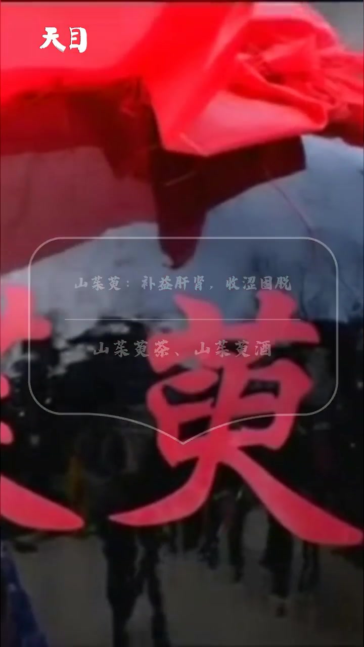 霜降过,重阳至,应季食材能玩出哪些花样?