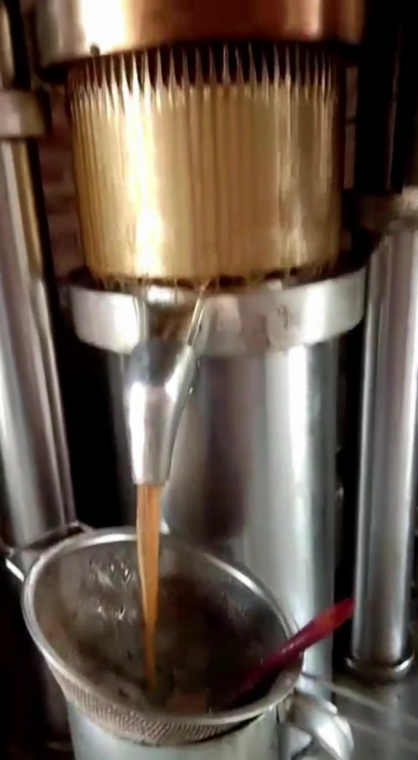 茶籽榨油机 全自动液压油菜籽压榨机