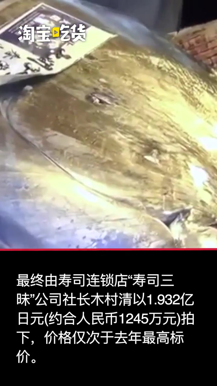 高达2亿日元!日本金枪鱼拍出天价