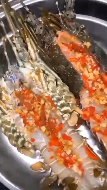 简简单单,清蒸小青龙虾,东山岛海鲜